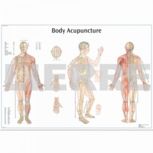 Body- Acupuncture- Chart-600x600